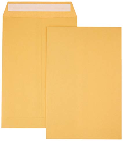 Catalog Envelope