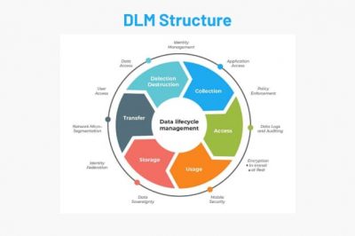 What Are The Three Main Goals Of Data Lifecycle Management (Dlm)?