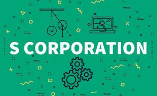 s corporation