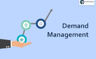 what are the types of activity within demand management