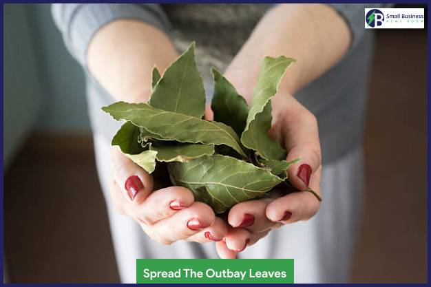 Spread The Outbay Leaves