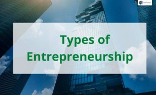 types of entrepreneurship