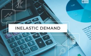 which of the following is likely to have the most price inelastic demand?