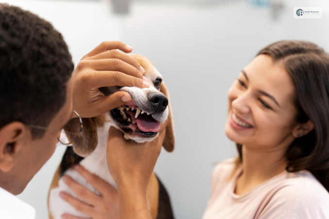 Reasons Why You Need Oral Health Insurance for Your Pets