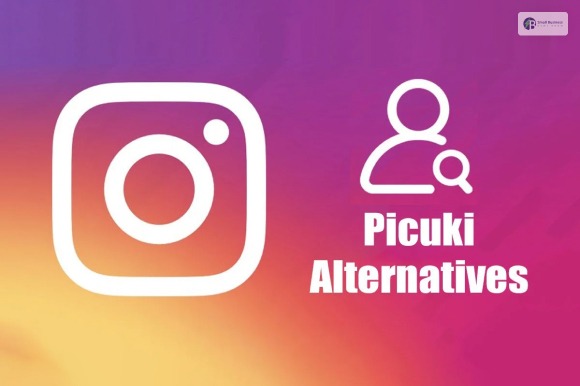 Picuki Alternative