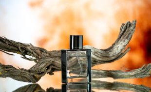 Evolving Landscape Of Perfumeries