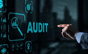 SEO Audit Services