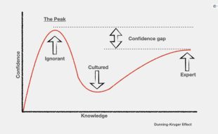 What Is The Dunning Kruger Effect_ - Impact On Business And The Workplace