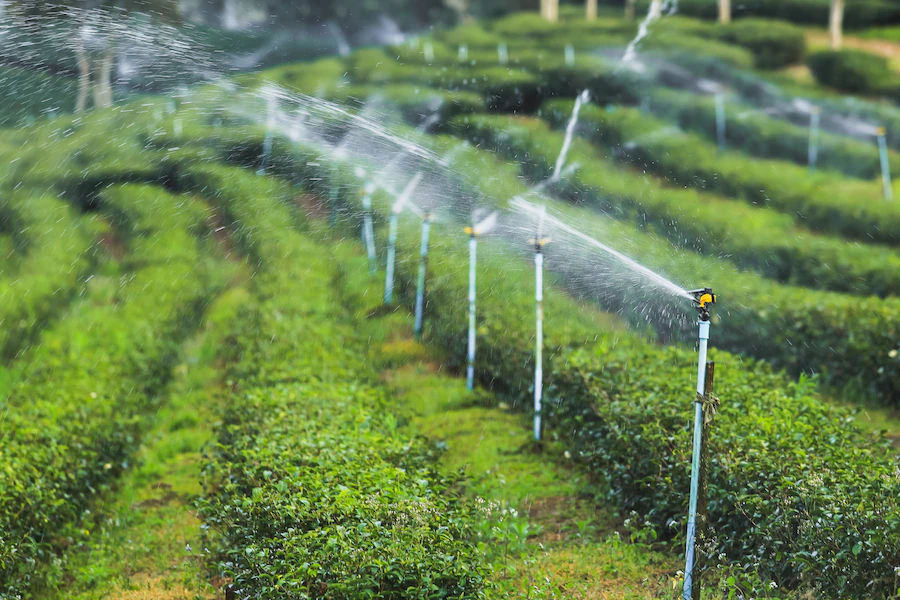 Smart Irrigation Systems