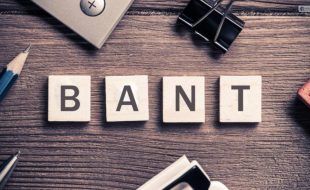 What Is BANT (Budget, Authority, Need, Timing) In Sales – Let’s Find Out