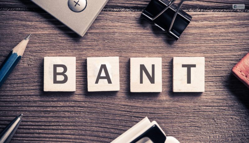 What Is BANT (Budget, Authority, Need, Timing) In Sales – Let’s Find Out